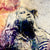 Zakk Wylde Art - Ozzy Osbourne